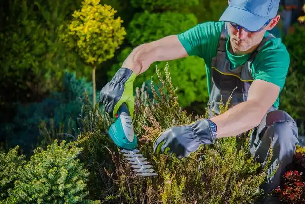 landscaping services Pikeville